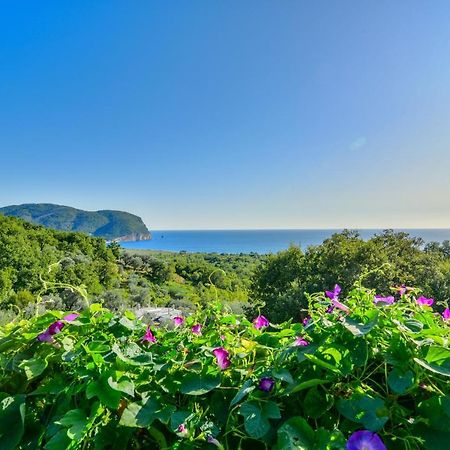 Pataki Studios Петровац Экстерьер фото